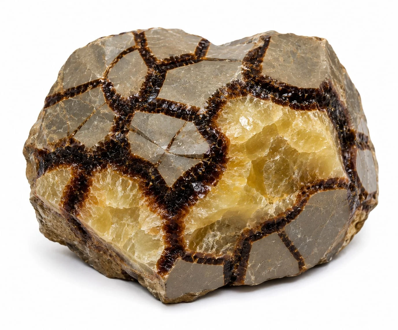 septarian