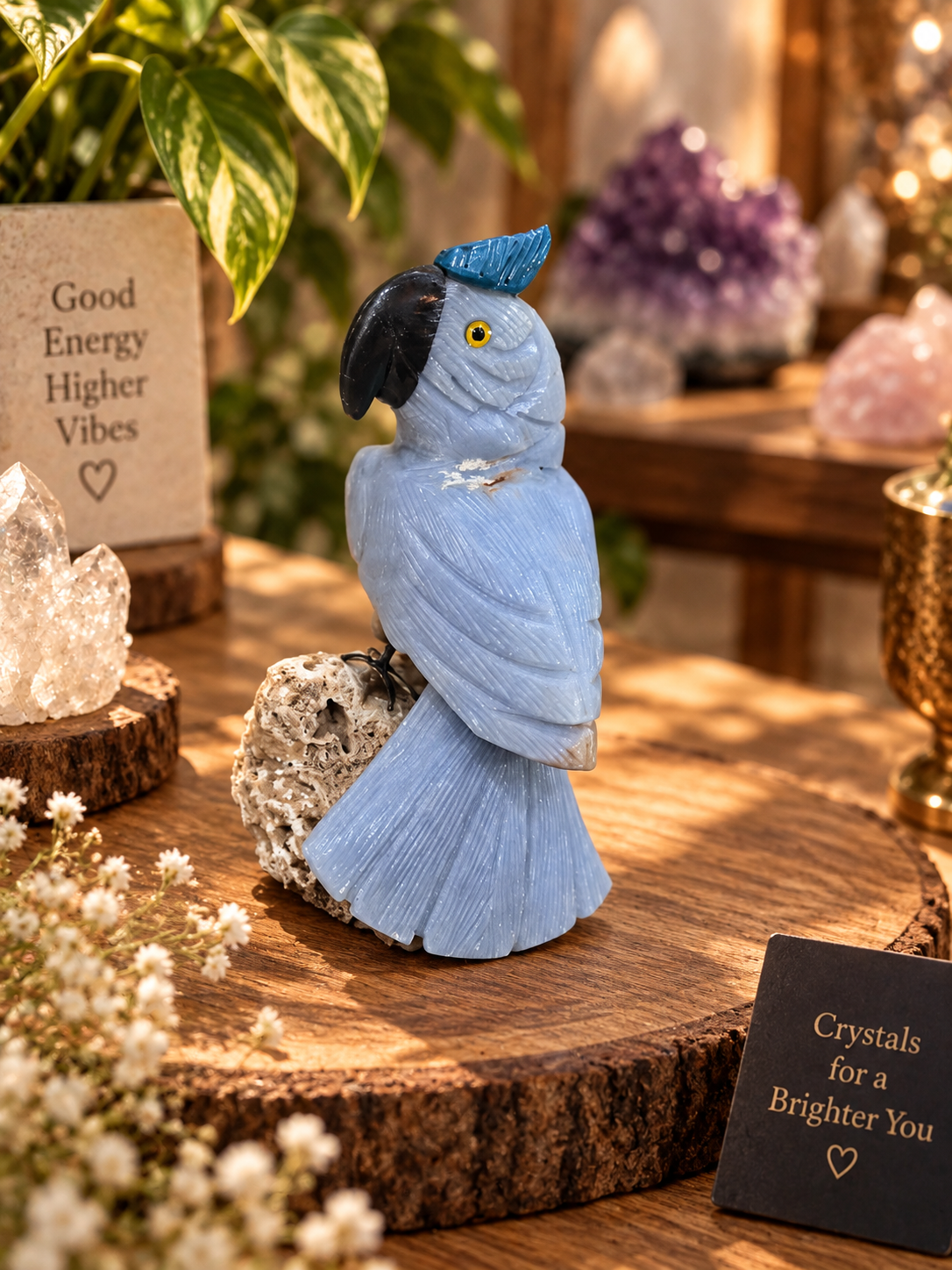 Blue calcite parrot